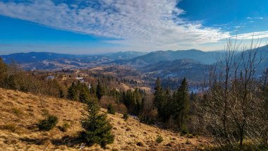 Karpatların güzel kış manzarası, Ukrayna