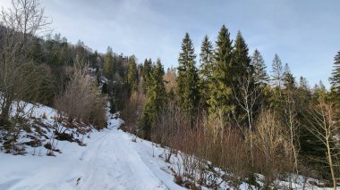 Dağlarda kış manzarası