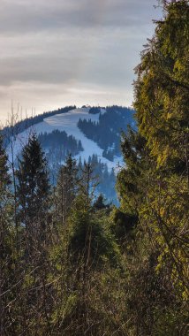 Karpat Dağları'nın kış manzarası