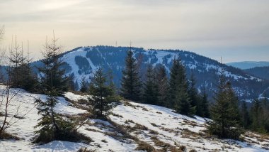 Kalın bir kar tabakasıyla kaplı bir dağın kış manzarası