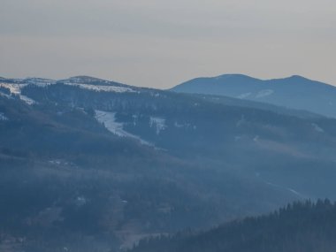 Ormanda karla kaplı bir dağın dikey görüntüsü.