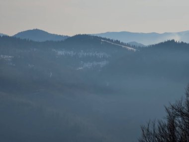 Dağ manzarası. Karpatlar, Ukrayna