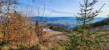 Karpatların dağlarında sonbahar. ukraine