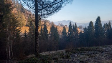 Dağlarda sonbahar manzarası.