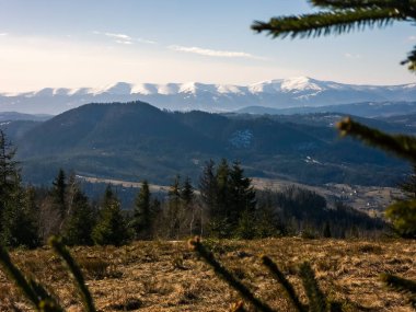 Karla kaplı ağaçlarla kaplı güzel kış manzarası