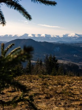 Dağları ve ormanı olan güzel bir manzara..