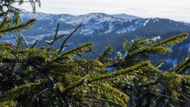 Doğanın güzel manzarası