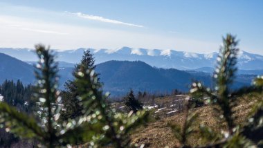 Güneşli bir günde Ukrayna Karpatlarının güzel dağ manzarası