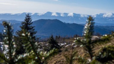 Dağ manzarası. Karpatyalı, Slovakyalı