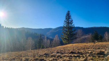 Ormanı ve mavi gökyüzü olan güzel dağ manzarası