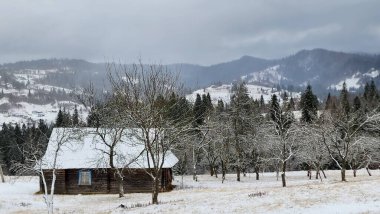 Karpatlar 'da bir köyde kış