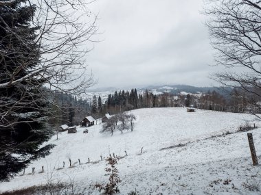 Karpatya dağlarında kış.