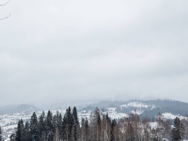 Kış manzarasında karla kaplı ağaçlar