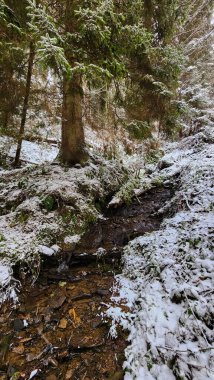 donmuş nehir kışın karla