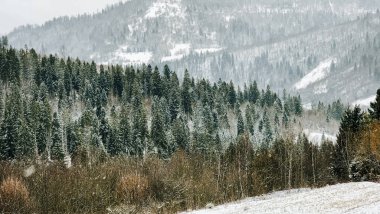 Dağlardaki karlı kış ormanı