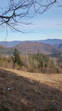 Dağlarda bir ağacı olan güzel bir manzara.