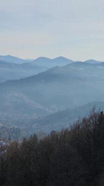 Kış manzara dağ orman