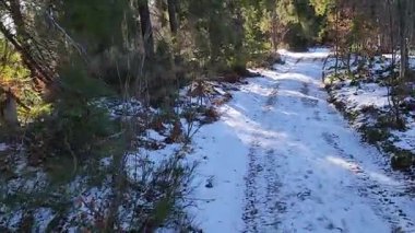 Güzel manzara. kış doğası