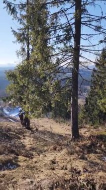 Kışın güzel bir dağ manzarası.