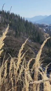 Doğa manzarası çok güzel