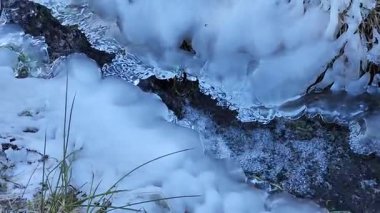 Karlı ve ağaçlı kış ormanı.