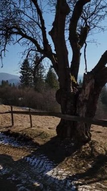 Dağların güzel manzarası