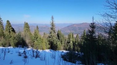 Karpat Dağları 'ndaki güzel dağ manzarası