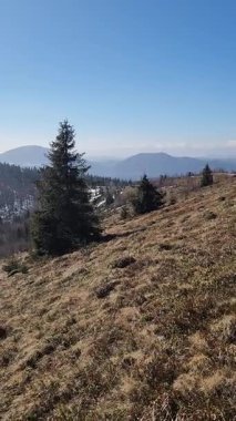 Doğal manzaranın güzel manzarası