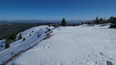 Karla kaplı ağaçlarla kaplı kış manzarası