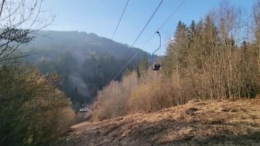 Ağaçlı bir ormanın ve arka planda bir dağın güzel bir görüntüsü.