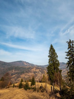 Ağaçları ve mavi gökyüzü olan güzel bir manzara.