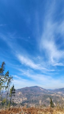 Karlı güzel bir dağ manzarası. Arkasında beyaz dağlar.