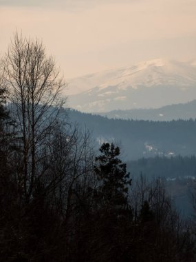 Karla kaplı ağaçlarla kaplı güzel kış manzarası