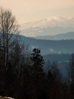 beautiful winter landscape with snow covered trees and mountains