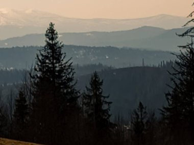Dağlarda ormanı olan güzel bir manzara.