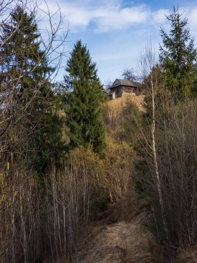 Tahta çitli sonbahar ormanı