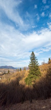 Güneşli bir günde eski köyün manzarası