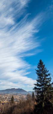 Güzel bir manzara Ağacı ve mavi gökyüzü