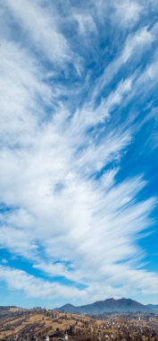 Buğday tarlası ve mavi gökyüzü olan güzel bir manzara.