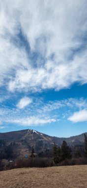 Güzel bir manzara Ağacı ve mavi gökyüzü