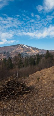 Ormanı ve ağacı olan güzel bir dağ manzarası.