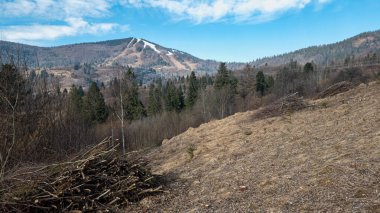 Karpatlar 'da bahar manzarası