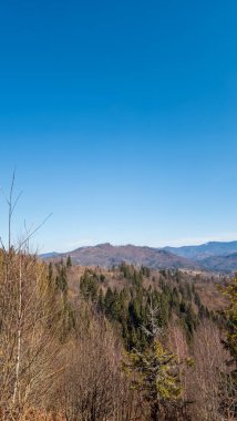 Sonbahar ormanındaki dağların güzel manzarası.