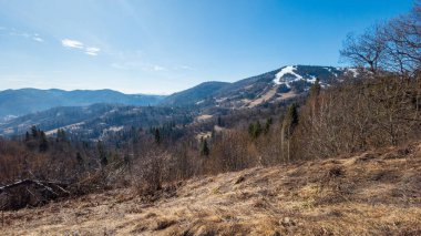 Karpatlar 'daki güzel dağ manzarası, Ukrayna.