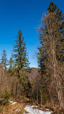 Dağların güzel manzarası