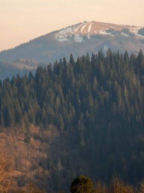Ağaçlar ve karla kaplı dağ manzarası