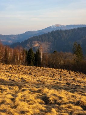 Akşamları dağlarda ağaçlar ve yeşil otlarla dolu bahar manzarası