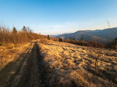Karpat Dağları'nın güzel manzara
