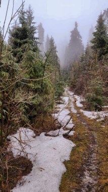 beautiful winter landscape with snow covered trees and mountains