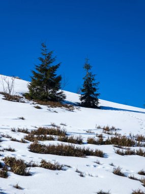 Kışın dağların güzel manzarası